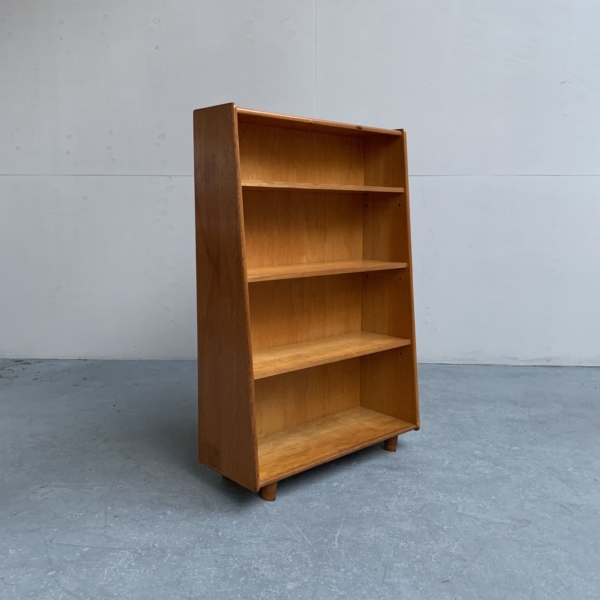 BE02 bookcase by Cees Braakman for Pastoe – Netherlands 1950s